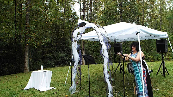 The wedding of Shelly Stephens and Diane Bishop/pa...
