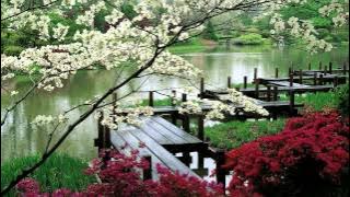 3 HOURS 'Zen Garden' | Relaxing Music | Sleep Music for Spa, Meditation, Therapy