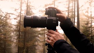 Autumn Photography in the Woods