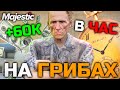 60.000$ в ЧАС НА ГРИБАХ | ЛУЧШАЯ РАБОТА НА MAJESTIC RP GTA 5 RP