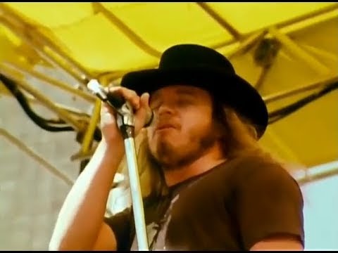 ¿Cuándo Comenzó La Carrera Musical De Lynyrd Skynyrd?