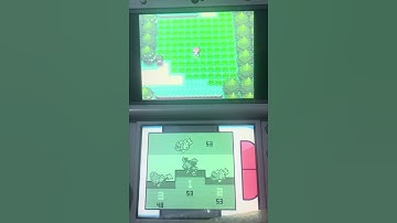 SHINY ZIGZAGOON Pokémon Platinum Radar hunting (3) #2024 #shinyhunting #shinypokemon
