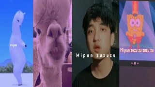 Cocofun Story Wa Mipan Su Su Sum || Status Wa Mipan Zu Zu Zu Bikin Terngiang-ngiang.Terbaru
