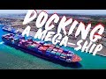 Docking a megaship  mooring and berthing explained  life at sea