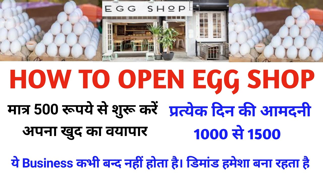 egg business plan in india