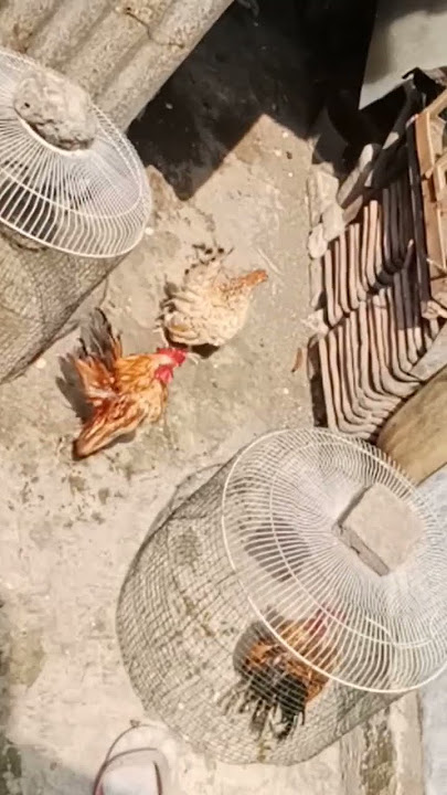tinggal sedikit