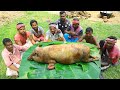 Big size pork cleaning and cooking by tribal peoples  how tribe grandmothers cooking pig meat