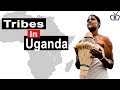Major ethnic groups in Uganda and their peculiarities