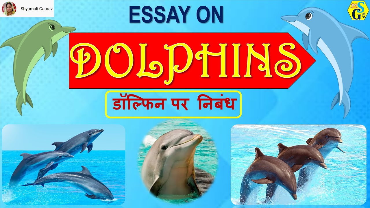 short essay on dolphin in hindi