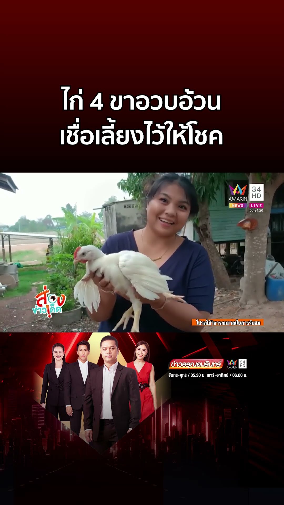 ฮือฮา! ไก่ 4 ขาอวบอ้วน เจ้าของเชื่อเลี้ยงไว้ให้โชค | ข่าวอรุณอมรินทร์