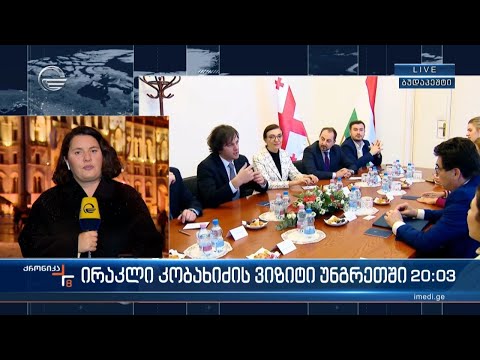 ირაკლი კობახიძის ვიზიტი უნგრეთში