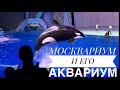 Москвариум на ВВЦ. Шоу косаток на «Шоу Воды» и Аквариум с морскими жителями