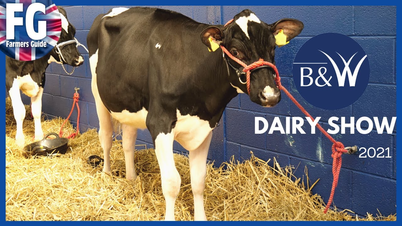 Exhibiting at The Bath & West Dairy Show 2021 YouTube