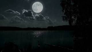 Rainfall under the Silver Moon 3 Hours Peaceful Lake Ambience with Night Rain 🌙🌧