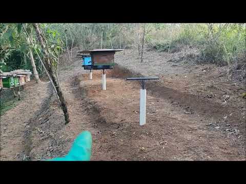 Vídeo: Como Criar E Manter Uma Colônia De Abelhas Forte