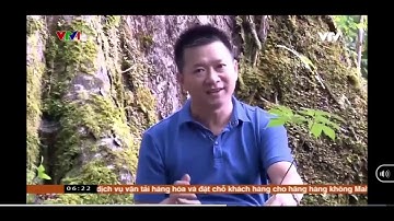 VTV1: SÂM NGỌC LINH - QUỐC BẢO VIỆT NAM