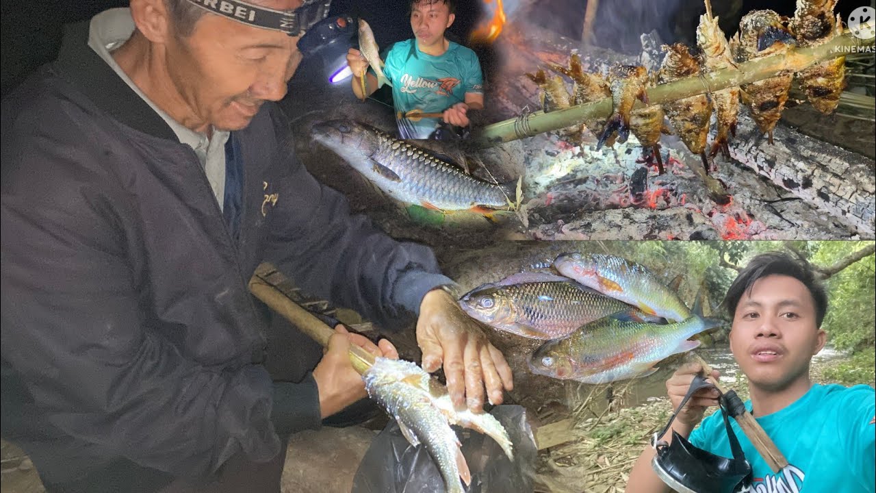 Peb txom ntses muaj siab tiag tiag li 