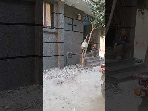وجهت رخام جندولا وجلاكسي