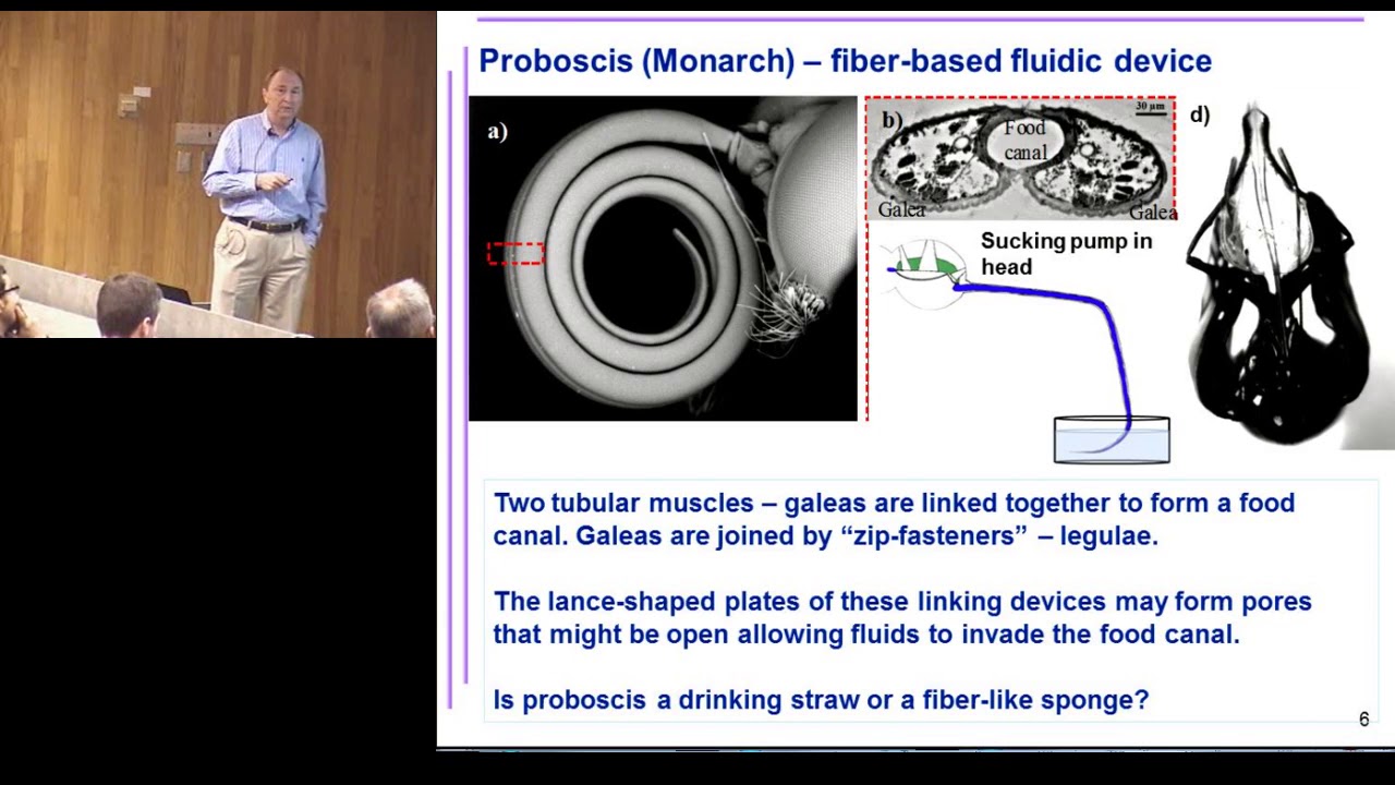 Warren Lecture Series - Kostya Kornev (Apr 3, 2015)