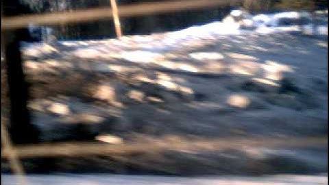 DS action replay computer problems missing buttons