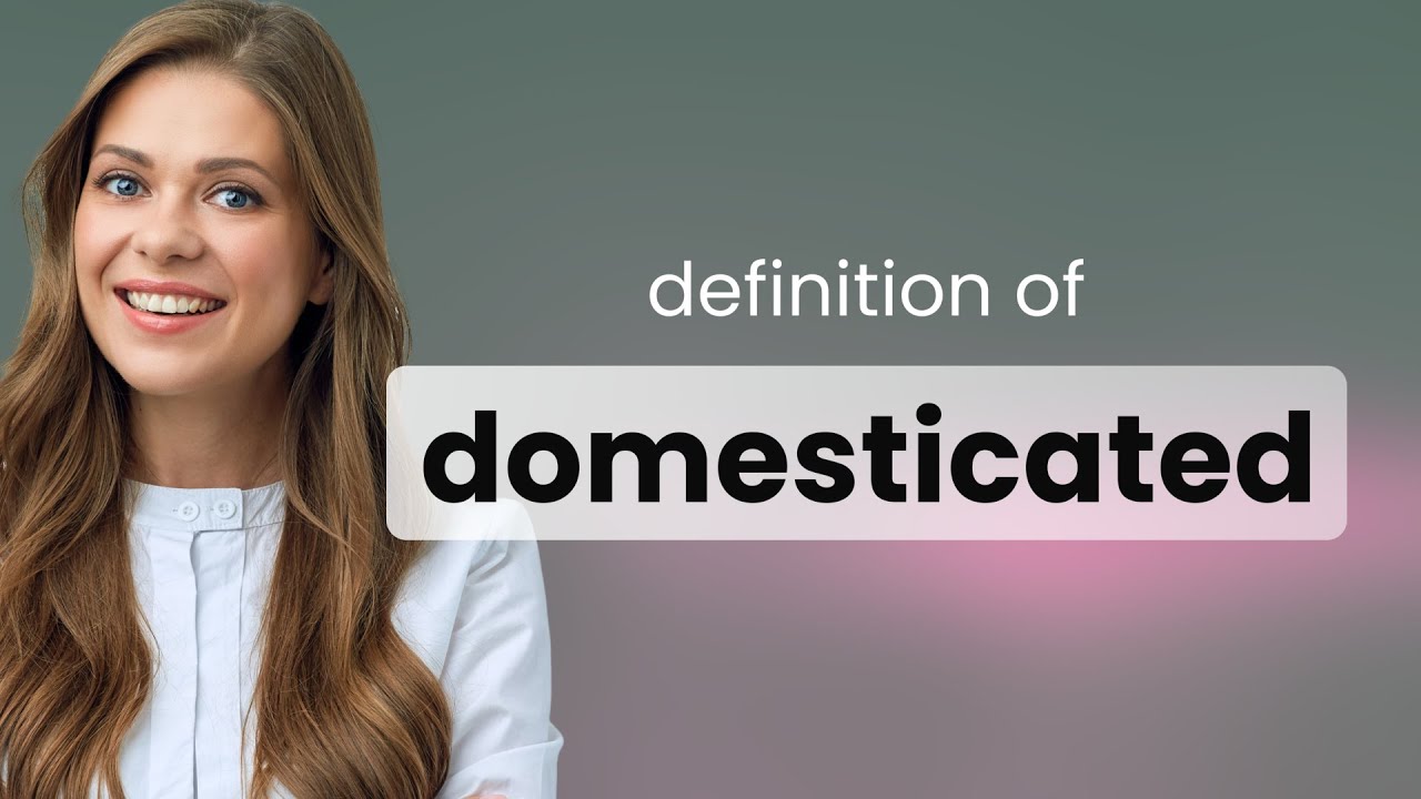 Domesticated What Is DOMESTICATED Meaning YouTube Domesticated What Is DOMESTICATED Meaning YouTube