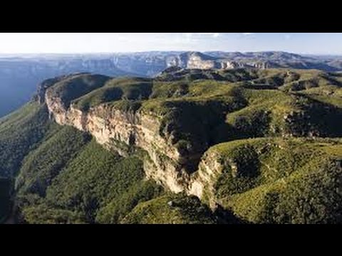 عجائب غابات استراليا Youtube