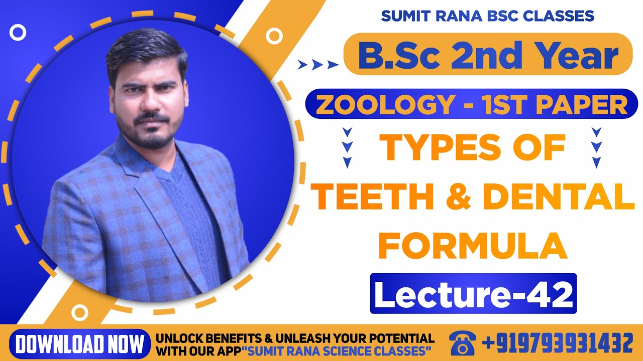 (Lt-42) Types Of Teeth & Dental Formula In Mammals || Unit - 4 Zoology 1st Paper || B.Sc. 2nd Year