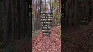 Endurance | Ancient Wisdom Timeless Truth #Shorts
