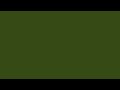 Dark Olive | 1 Hour Solid Color Screen
