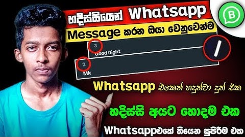 Whatsapp Quick Replies Option Sinhala