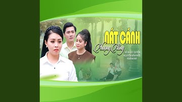 Nát Cánh Phượng Hồng