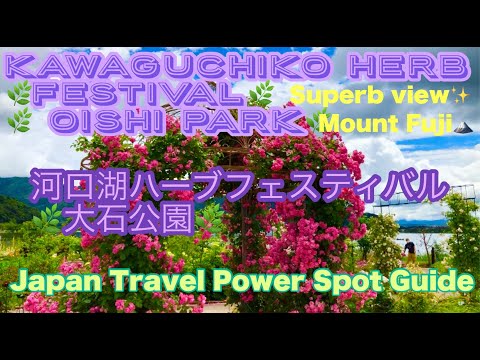 Kawaguchiko Herb Festival 🌿 Oishi Park❗️Superb view 🗻 Mount Fuji河口湖ハーブフェスティバル🌿大石公園✨絶景✨