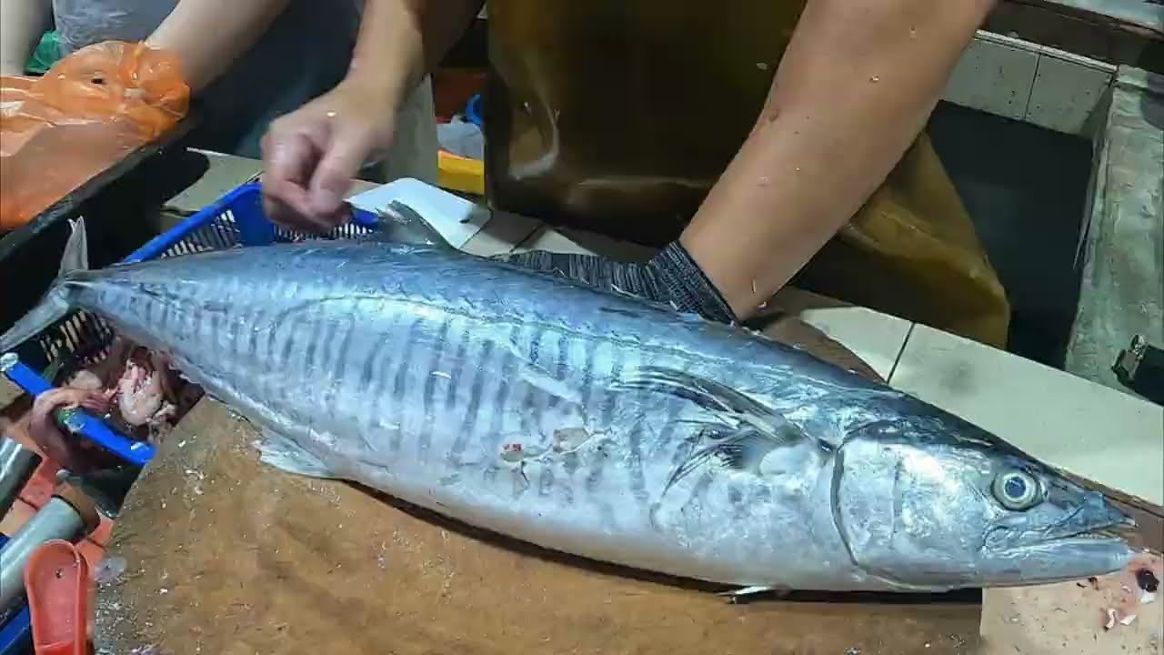 Slicing Mackerel Like Butter 🐟 | Perfect Fish Cutting Skills | Super Satisfying