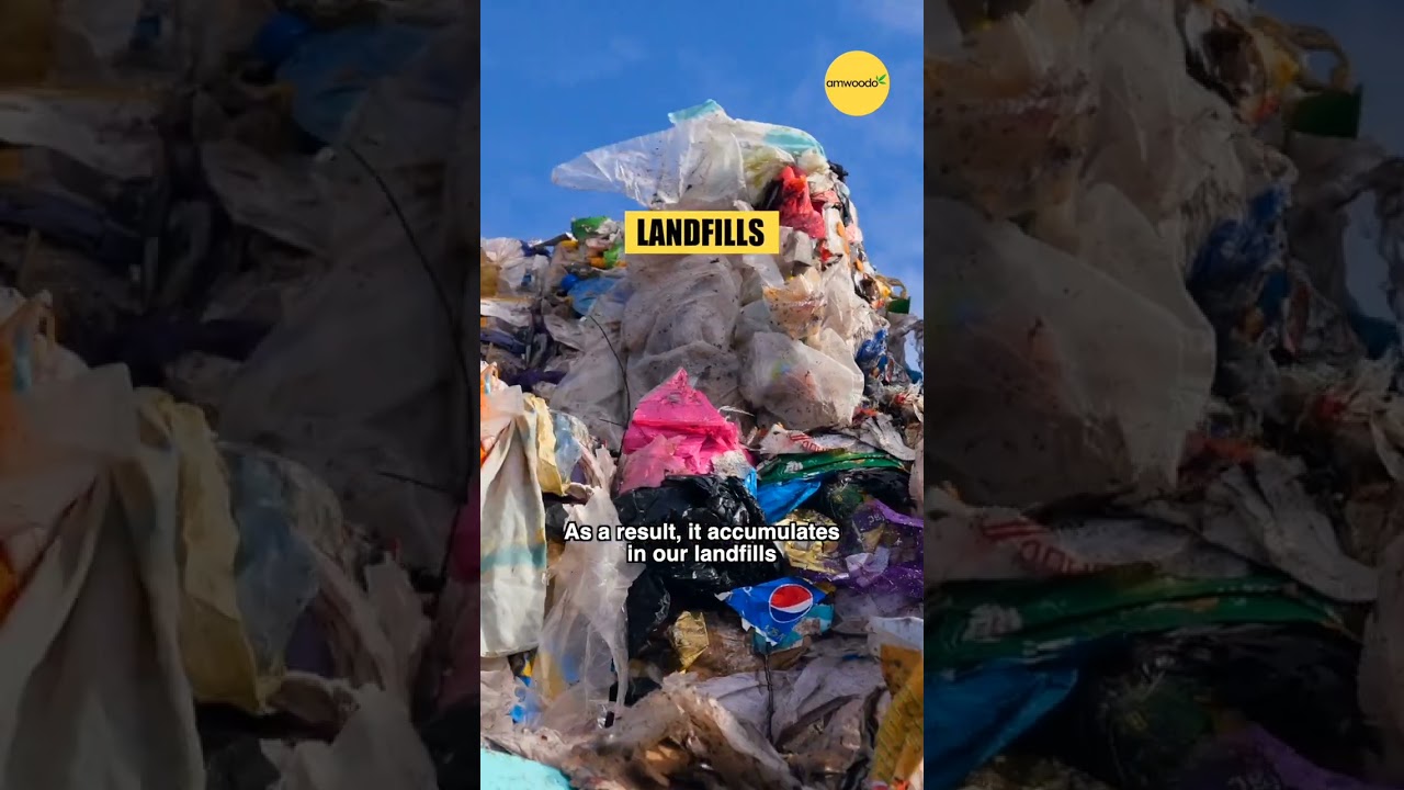 Tag a friend who can't resist popping bubble wrap | Amwoodo