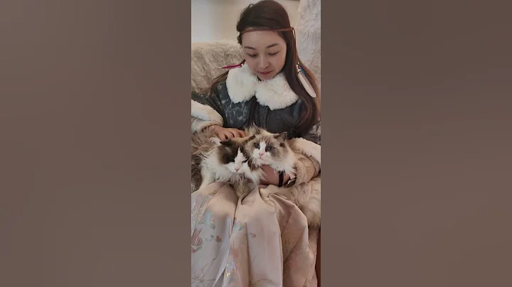 Watch the video about Shopping with ragdoll cats.#cat #cakemaking #chinesefood #happiness #shoppingchina #cute #shanghai