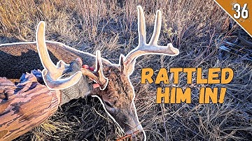 We Rattled Him to 16 yards! - (Frontal Shot with a BOW!)