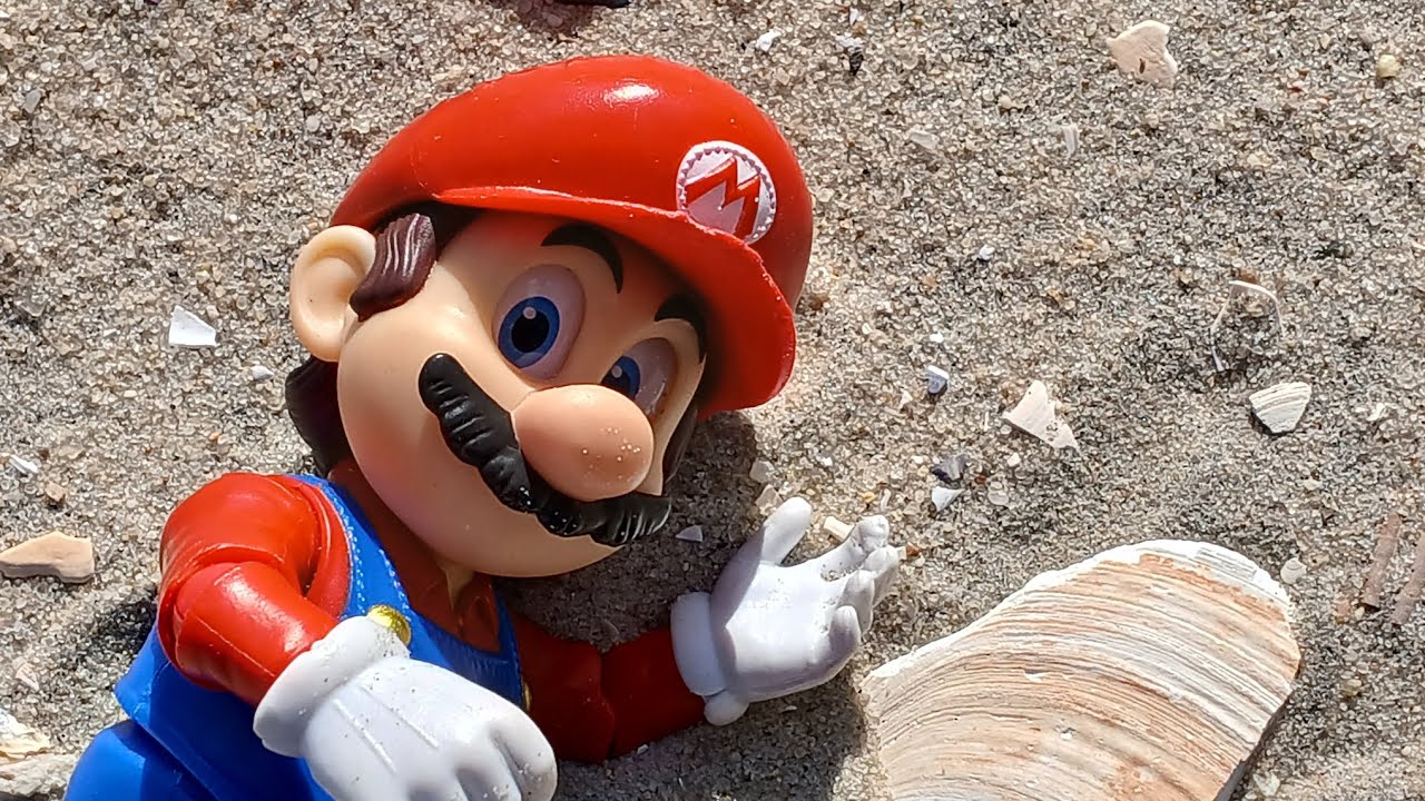 MAR10 DAY AND THE MISSING SHELLS 🐚 - YouTube