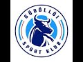 GSK U10A-GSK U11B