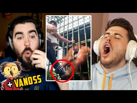 Showing Vanoss and Terroriser my Tiktok FYP was a bad idea