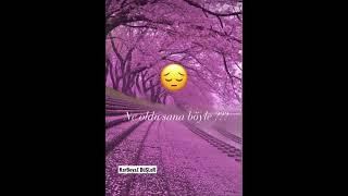 Sana Ne Oldu Be Canımın İçi ??