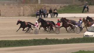 Vidéo de la course PMU PREMI ENGHIEN