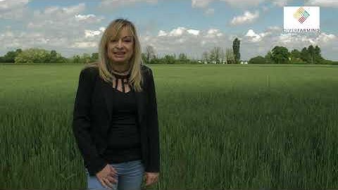 Crop diversification in Italy | Diverfarming case studies