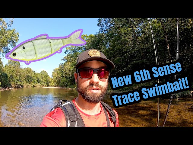 Testing Out the Brand New 6th Sense Trace Swimbait!! (BIG FISH LANDED) 