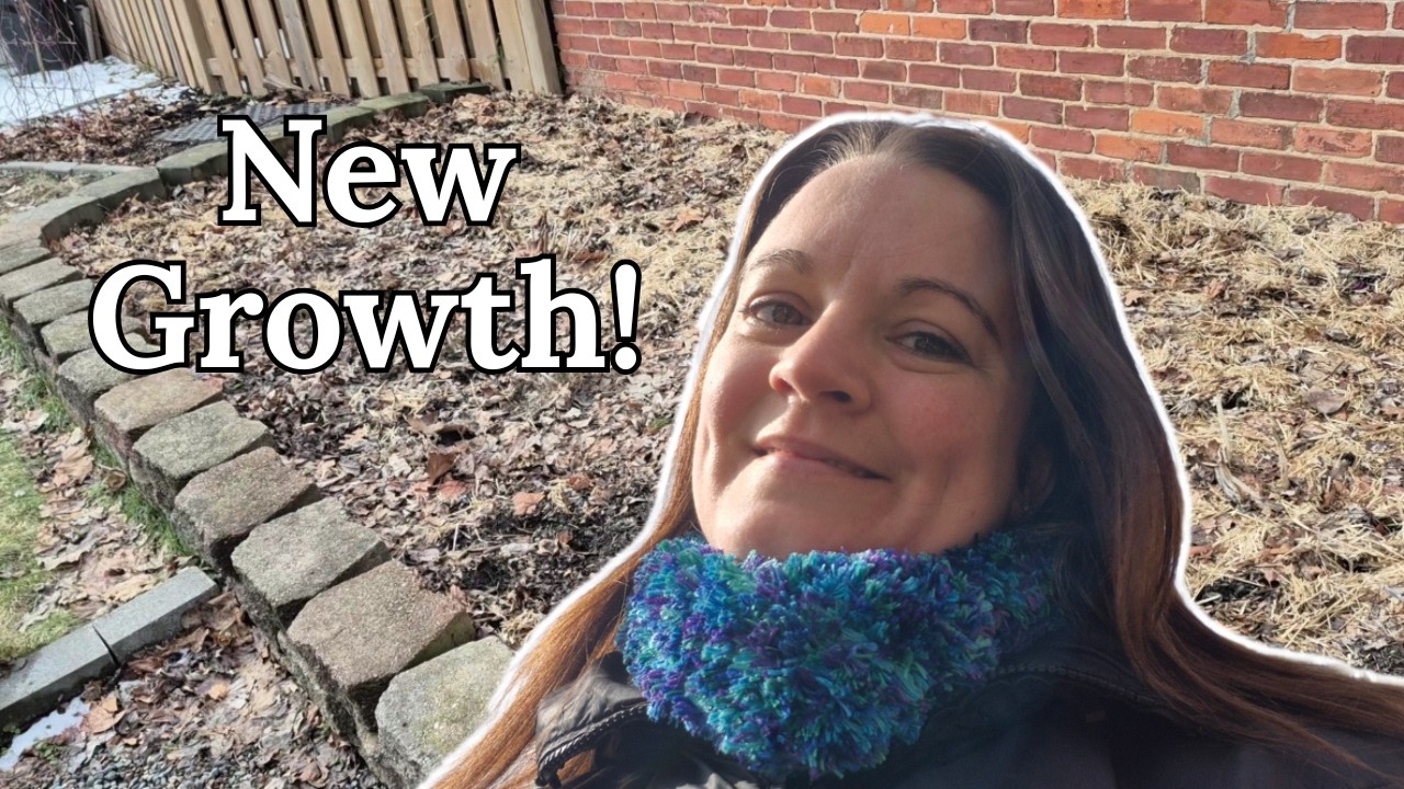 Early Signs of Spring | February Garden Tour