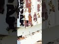What Happens To The Gingerbread Displays At Disney #disneyparks #disneyworld #disneyland