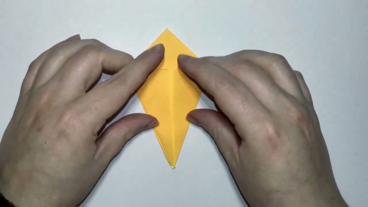 Ms V Crane Origami