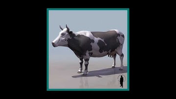Cow 3D model | Animals Mammal 3D model | max, 3ds, obj, c4d, lwo