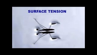 Surface tension by GetAClass - Physics 2,144 views 6 months ago 3 minutes, 51 seconds