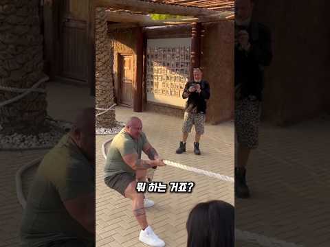 인간 서열, 이 영상 하나로 끝
