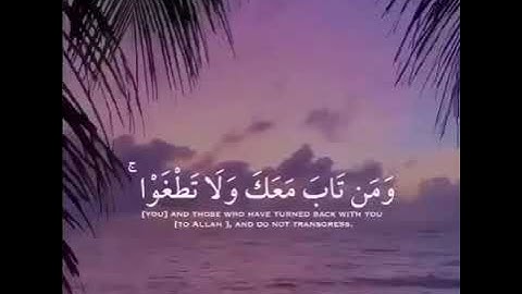 {فَاسْتَقِمْ كَمَا أُمِرْتَ وَمَن تَابَ مَعَكَ وَلَا تَطْغَوْا ۚ} تلاوة خاشعة من سورة هود 💙.